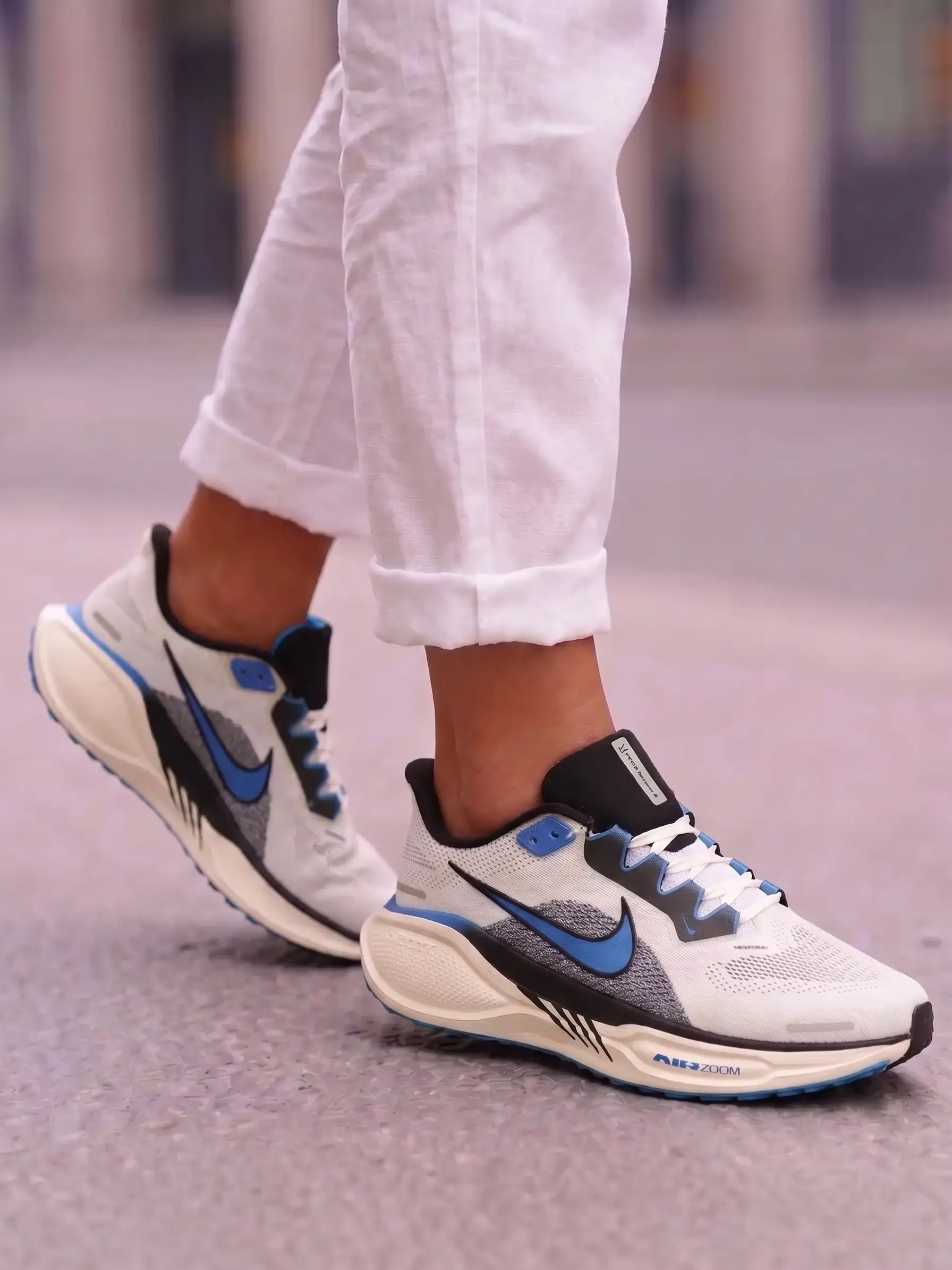 Nike Pegasus Easyon