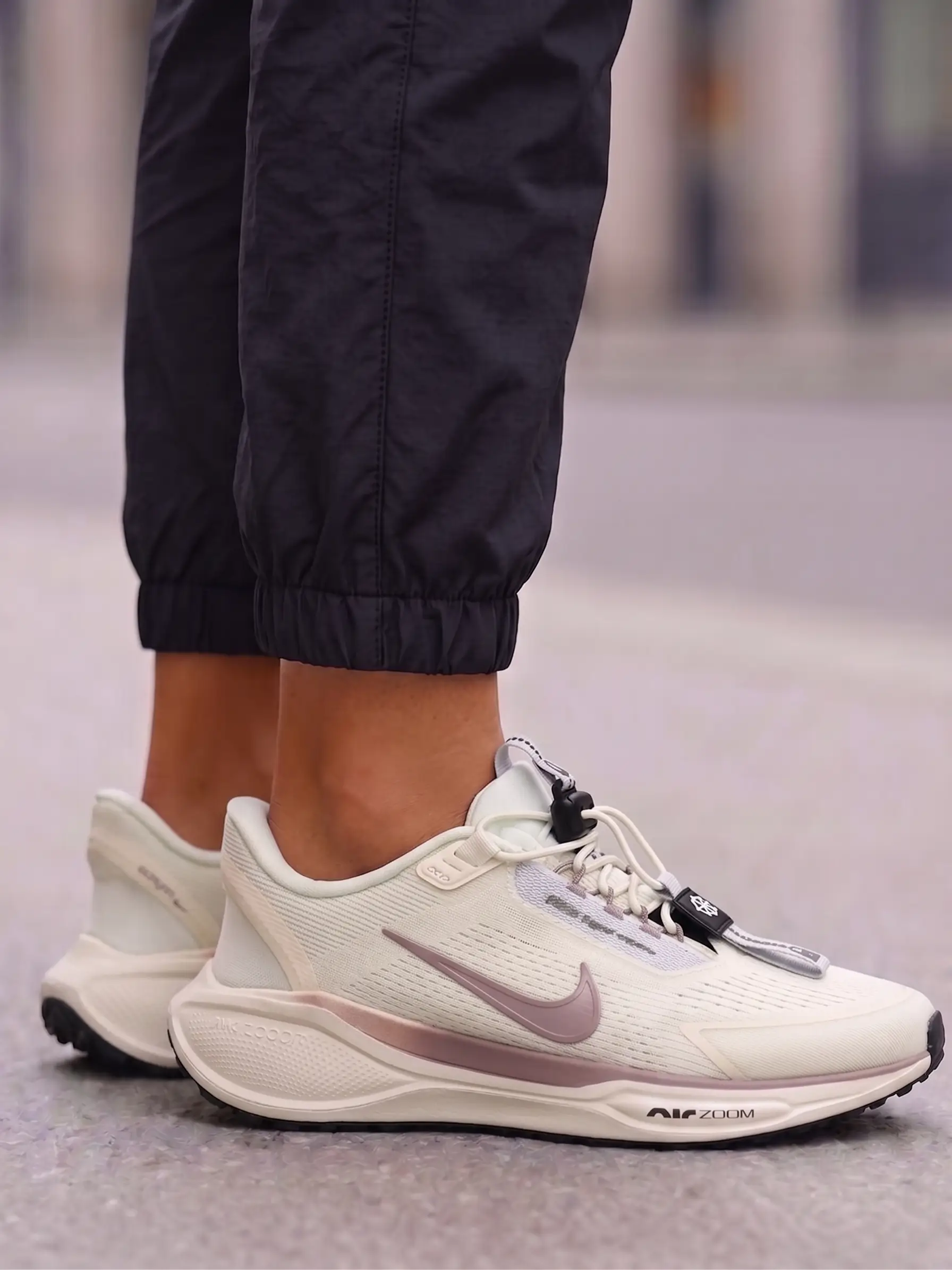 Nike Pegasus Easyon