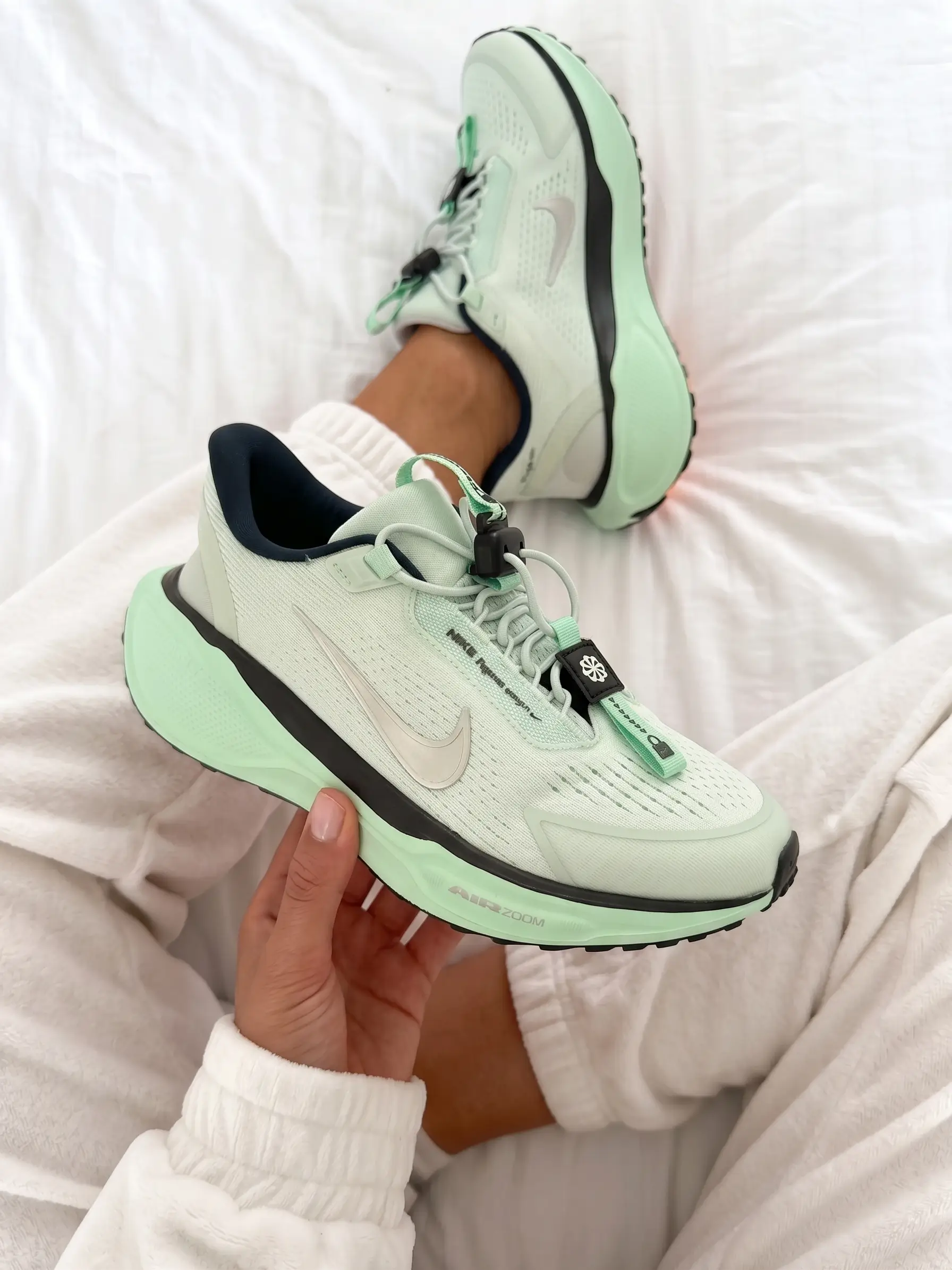Nike Pegasus Easyon