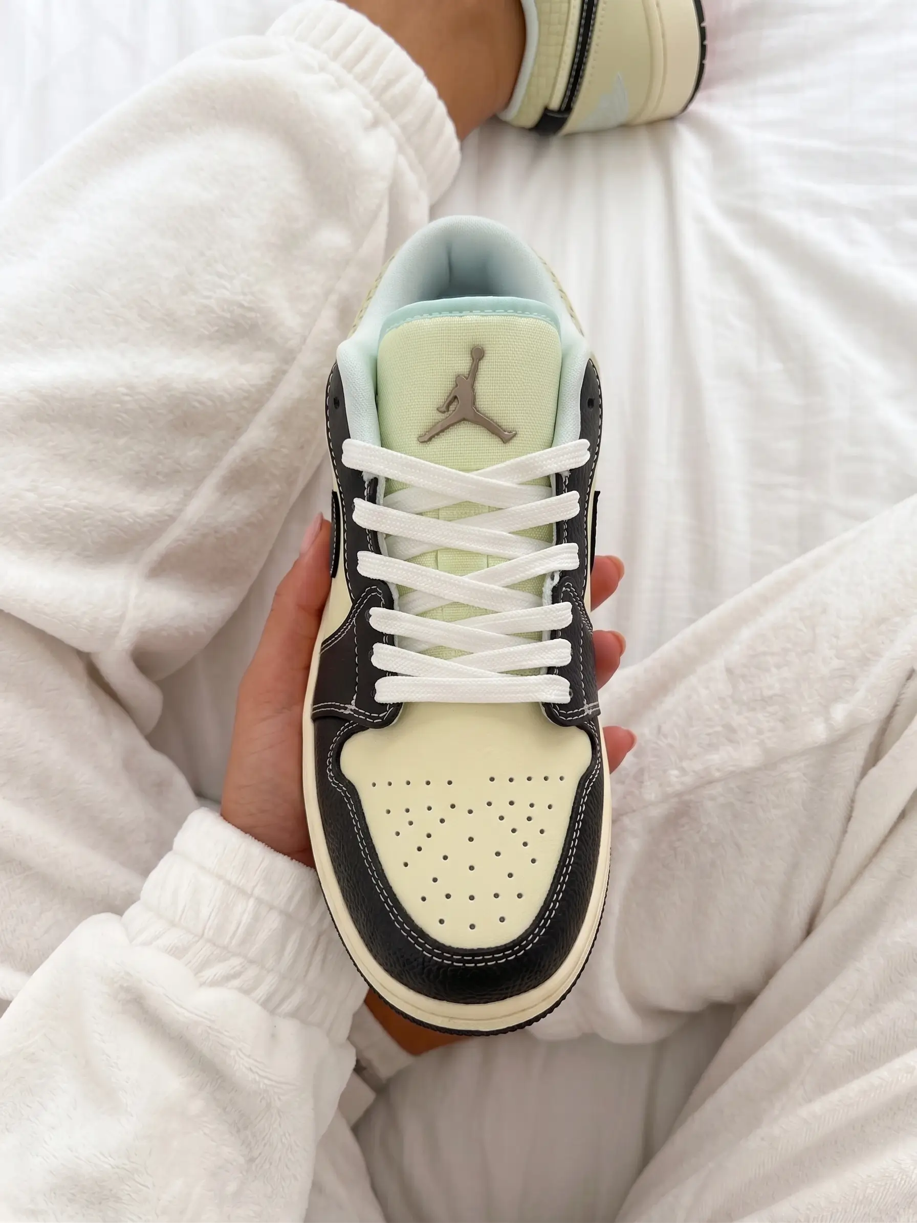 Nike Air Jordan 1 Low