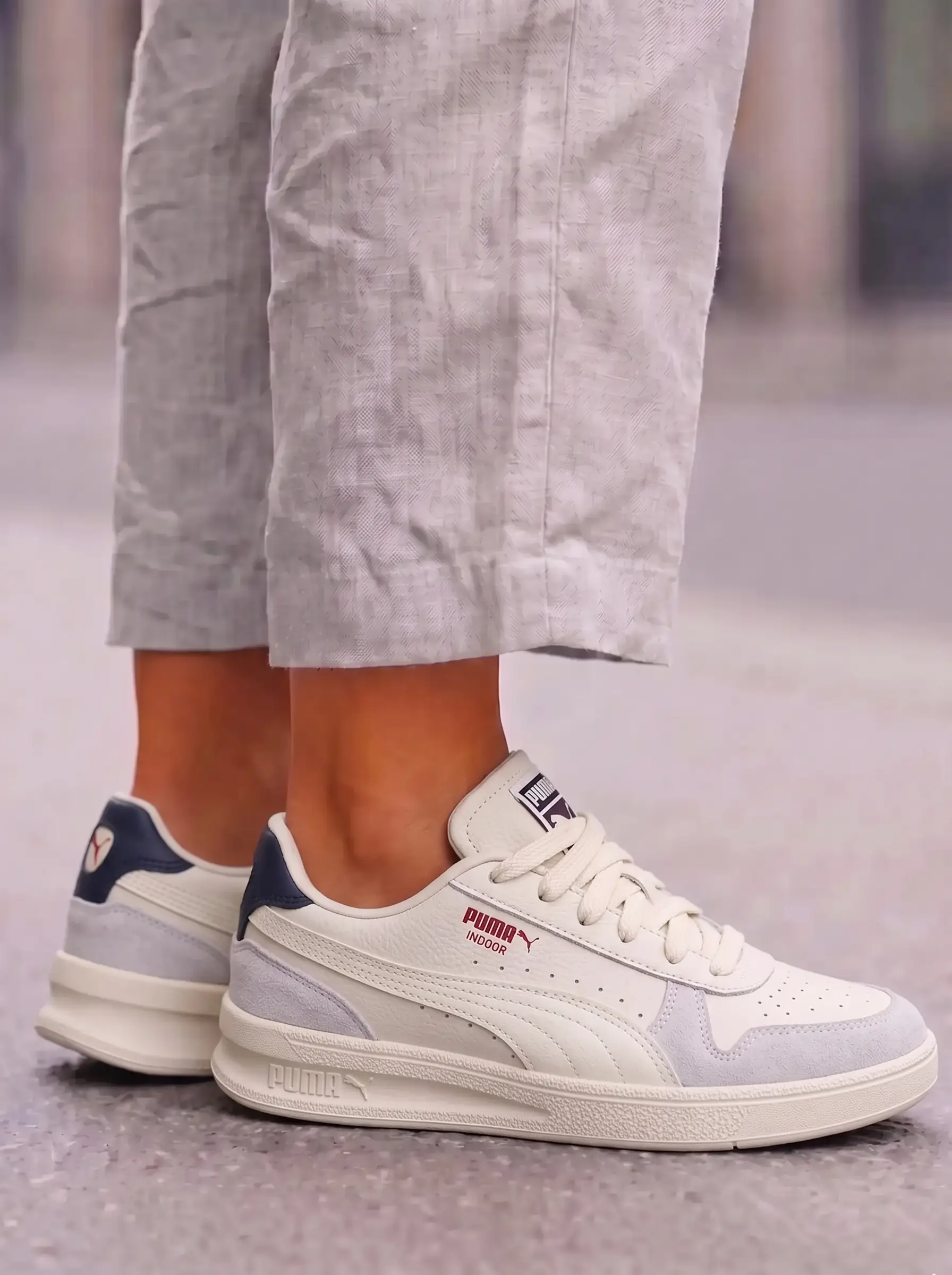 Puma Indoor