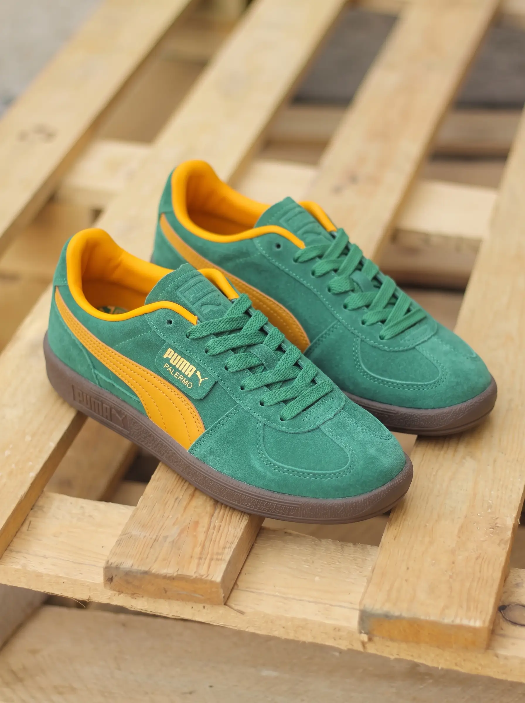 Puma Palermo